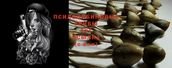 прущие грибы Алзамай