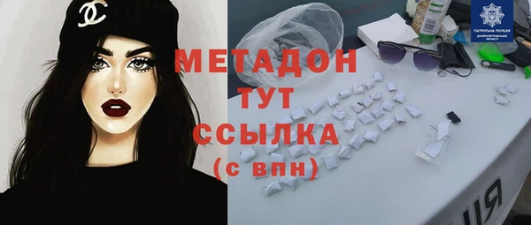 прущие грибы Алзамай