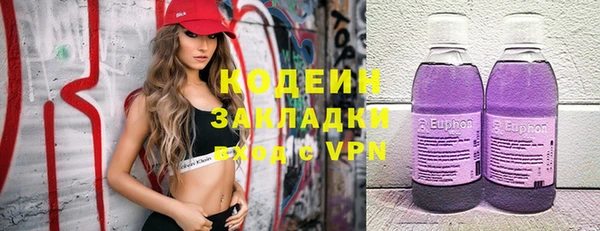 прущие грибы Алзамай