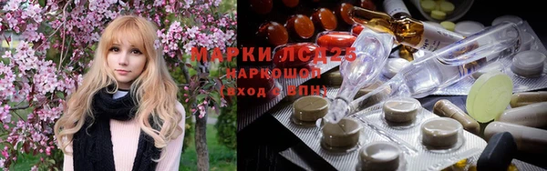 прущие грибы Алзамай