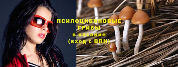 прущие грибы Алексин