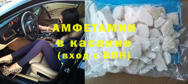 прущие грибы Алзамай