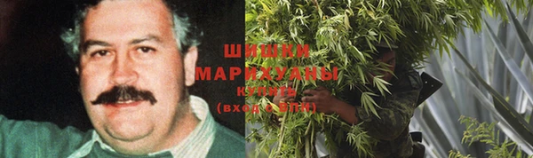прущие грибы Алексин