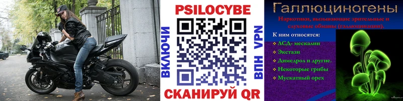 блэк спрут зеркало  Данилов  Псилоцибиновые грибы Psilocybine cubensis 